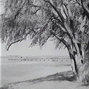 Negative - Lake Boga - Jetty, Allan Doney, 1950 -1970