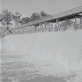 Negative - Laanecoorie - Weir, Allan Doney, 1950 -1970