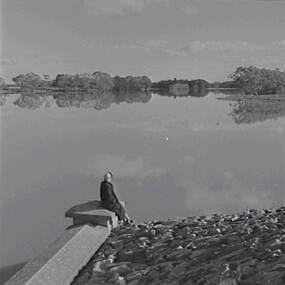 Negative - Laanecoorie - Weir, Allan Doney, 1950 -1970