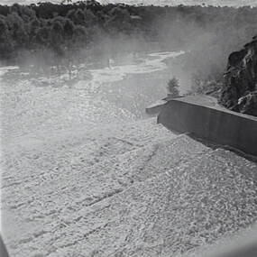 Negative - Laanecoorie - Weir, Allan Doney, 1950 -1970