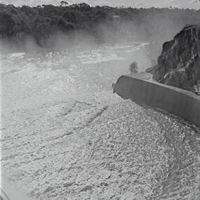 Negative - Laanecoorie - Weir, Allan Doney, 1950 -1970
