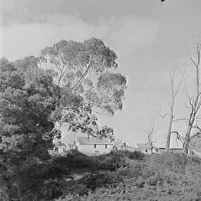 Negative - Shepherds Flat - House, Allan Doney, 1950 -1970
