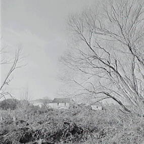 Negative - Shepherds Flat - House, Allan Doney, 1950 -1970