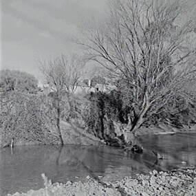 Negative - Shepherds Flat - River, Allan Doney, 1950 -1970