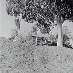 Negative - Shepherds Flat - House, Allan Doney, 1950 -1970