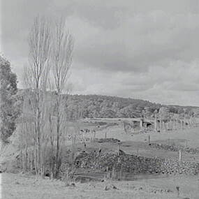 Negative - Shepherds Flat - Stone Walls, Allan Doney, 1950 -1970