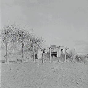 Negative - Shepherds Flat - House Ruins, Allan Doney, 1950 -1970