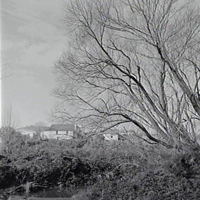 Negative - Shepherds Flat - House, Allan Doney, 1950 -1970