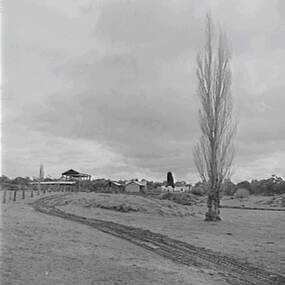 Negative - Shepherds Flat - Farm, Allan Doney, 1950 -1970