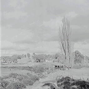Negative - Shepherds Flat - Rural Scene, Allan Doney, 1950 -1970