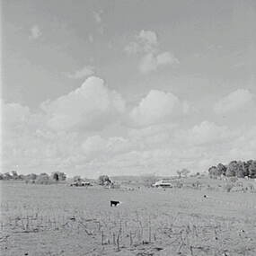 Negative - Shepherds Flat - Rural Scene - Farm - House, Allan Doney, 1950 -1970