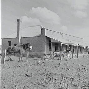 Negative - Franklin Ford - Building - Horse Carts, Allan Doney, 1950 -1970
