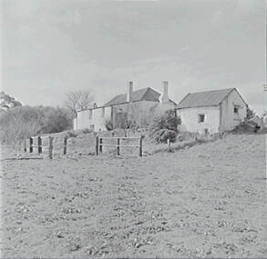 Negative - Tinetti's Farm - House, Allan Doney, 1950 -1970