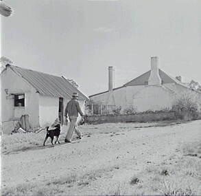 Negative - Tinetti's Farm - House, Allan Doney, 1950 -1970