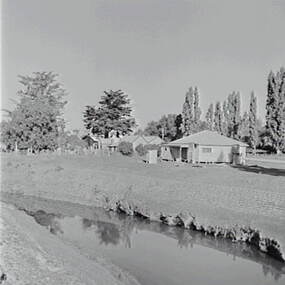 Negative - Clunes - Creek - Housing, Allan Doney, 1950 -1970
