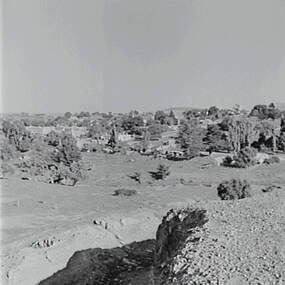 Negative - Clunes - Mullock Heaps, Allan Doney, 1950 -1970