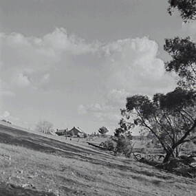Negative - Sedgwick - Farm, Allan Doney, 1950 -1970