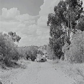 Negative - Rural Road, Allan Doney, 1950 -1970