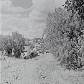 Negative - Rural Road, Allan Doney, 1950 -1970