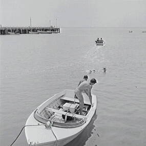 Negative - Portarlington - Motor Boat, Allan Doney, 1950 -1970