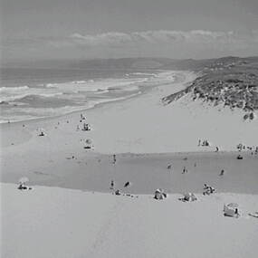 Negative - Airey's Inlet - Beach, Allan Doney, 1950 -1970