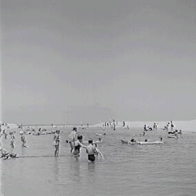 Negative - Airey's Inlet - Beach, Allan Doney, 1950 -1970