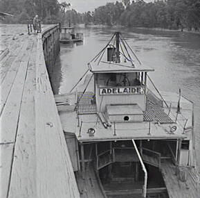 Negative - Paddle Steamer - Adelaide, Allan Doney, 1950 -1970