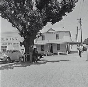 Negative - Castlemaine - Criterion Hotel, Allan Doney, 1950 -1970