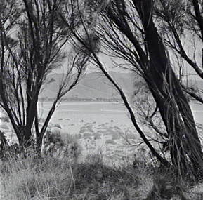 Negative - Ocean Grove - Beach, Allan Doney, 1950 -1970