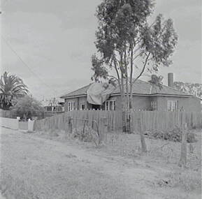 Negative - Maryborough - Storm Damage, Allan Doney, 1950 -1970