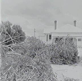 Negative - Maryborough - Storm Damage, Allan Doney, 1950 -1970