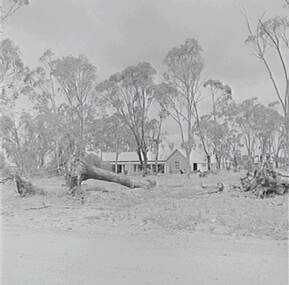 Negative - Maryborough - Storm Damage, Allan Doney, 1950 -1970