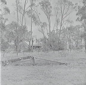 Negative - Maryborough - Storm Damage, Allan Doney, 1950 -1970
