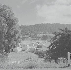 Negative - Wye River - Campsite, Allan Doney, 1950 -1970
