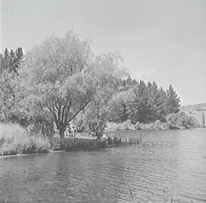 Negative - Daylesford - Lake, Allan Doney, 1950 -1970