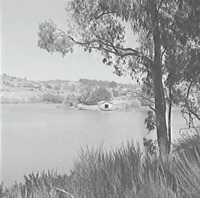 Negative - Daylesford - Lake, Allan Doney, 1950 -1970