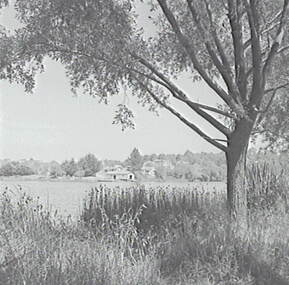 Negative - Daylesford - Lake, Allan Doney, 1950 -1970