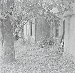 Negative - Cherry Tree Hotel Bendigo, Allan Doney, 1950 -1970