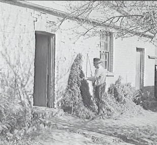 Negative - Cherry Tree Hotel Bendigo, Allan Doney, 1950 -1970