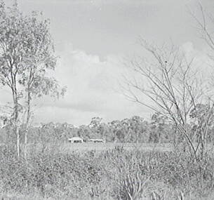 Negative - Cherry Tree Hotel Bendigo - Property, Allan Doney, 1950 -1970