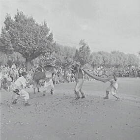 Negative - Bendigo Easter Fair - Chinese Dragon Awakening Ceremony, Allan Doney, 1950 -1970