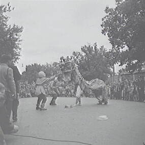 Negative - Bendigo Easter Fair 1953 - Chinese Dragon Awakening Ceremony, Allan Doney, 1950 -1970