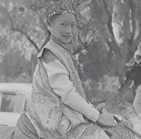 Negative - Bendigo Easter Fair 1957 - Chinese Section - Girl and Horse, Allan Doney, 1950 -1970