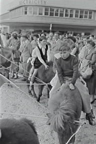 Negative - Bendigo Easter Fair 1957 - Pony Rides, Allan Doney, 1950 -1970