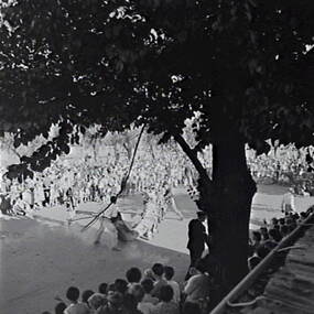Negative - Bendigo Easter Fair 1958 - Chinese Dragon Awakening Ceremony, Allan Doney, 1950 -1970