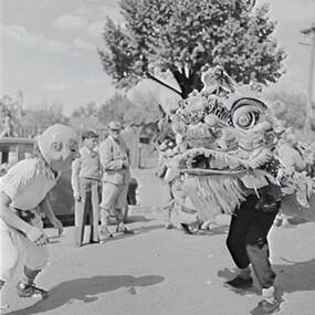 Negative - Bendigo Easter Fair 1958 - Chinese Dragon Awakening Ceremony, Allan Doney, 1950 -1970