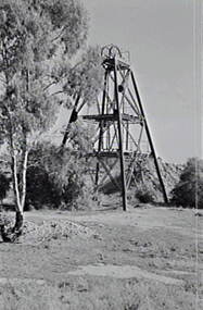 Negative - Ironbark and Long Gully Mines - Poppet Head, Allan Doney, 1950 -1970