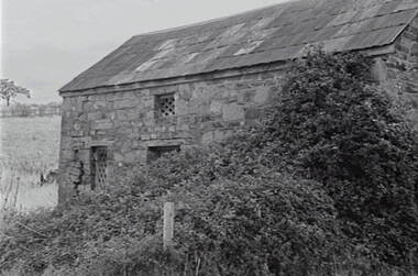 Negative - Fryerstown - Building, Allan Doney, 1950 -1970