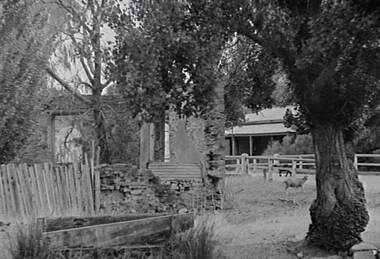 Negative - Fryerstown - Building and Ruins, Allan Doney, 1950 -1970