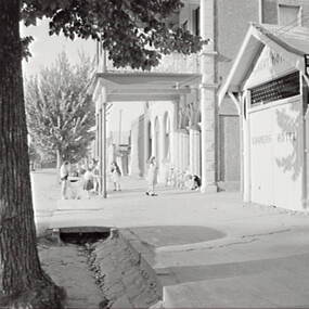 Negative - Farmers Lane Bendigo - Lamsey Herbalist, Allan Doney, 1950 -1970